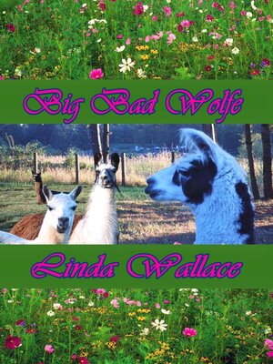 cover image of Big Bad Wolfe